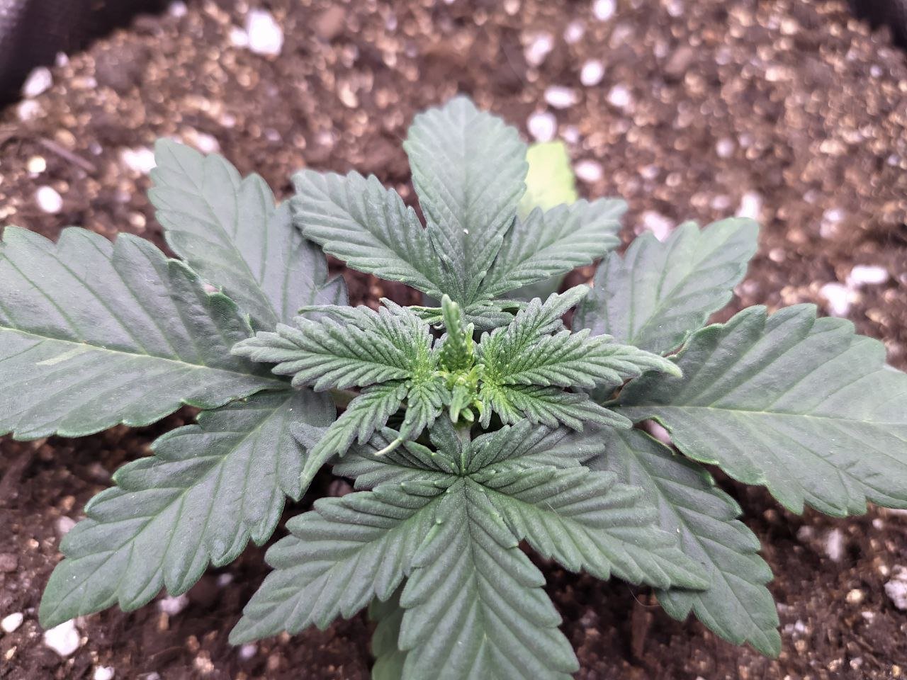 photo1 — копия.jpg photo1 — копия.jpg