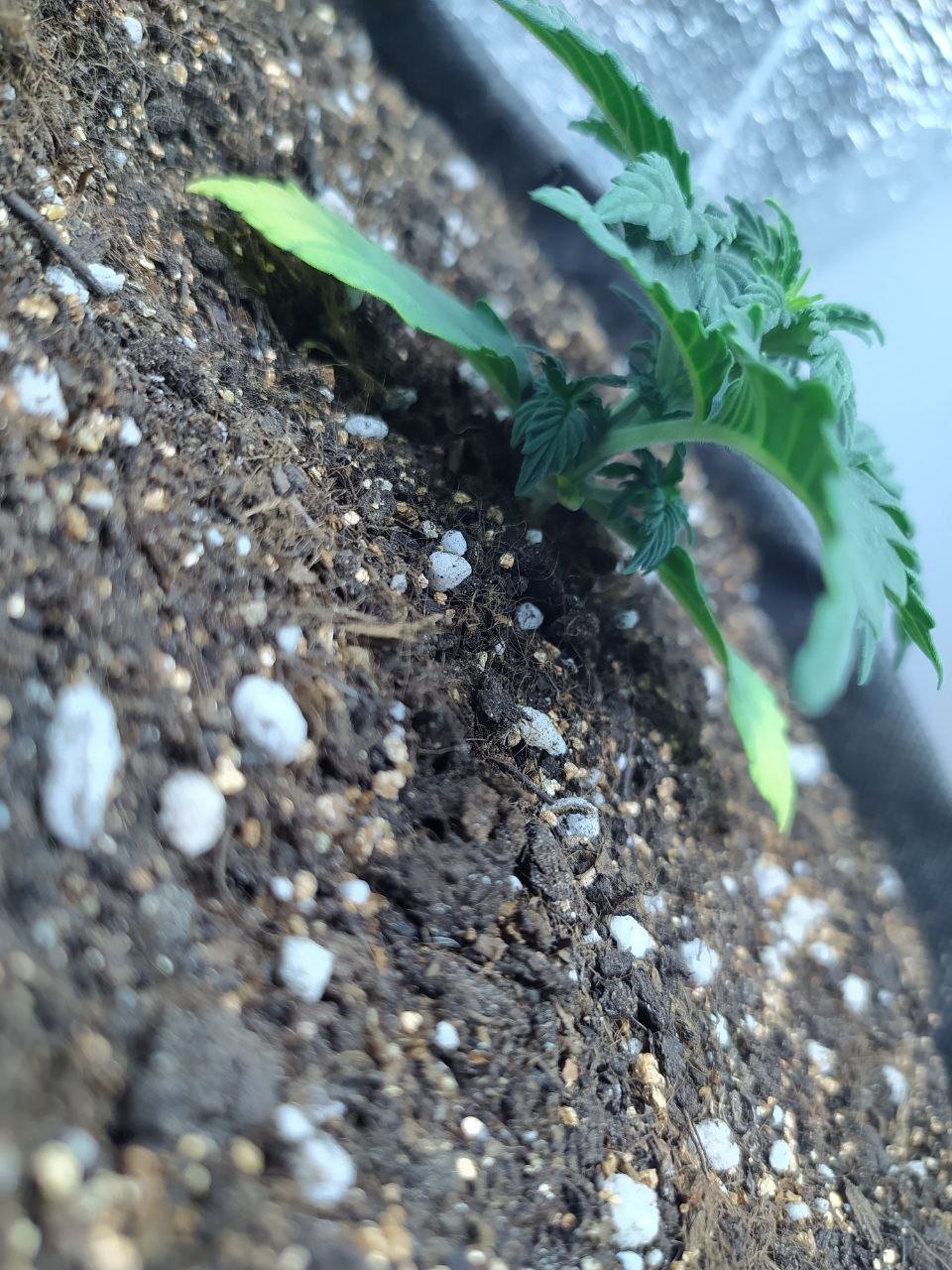 photo1 — копия.jpg