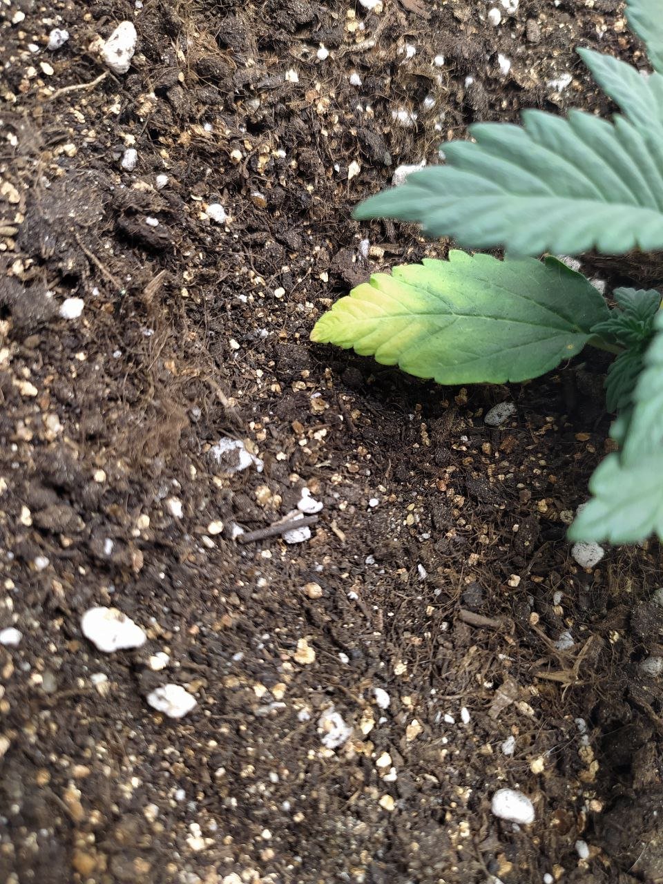 photo3 — копия.jpg