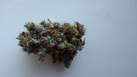 IMG_20220629_204921_353.jpg IMG_20220629_204921_353.jpg