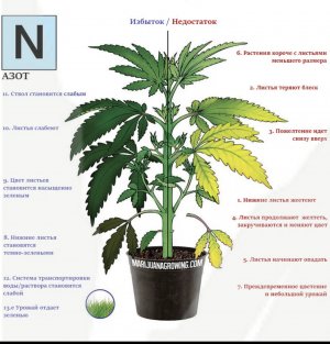 2B2889D8-8452-4F64-ACD5-C86EBEBADB76.jpeg 2B2889D8-8452-4F64-ACD5-C86EBEBADB76.jpeg