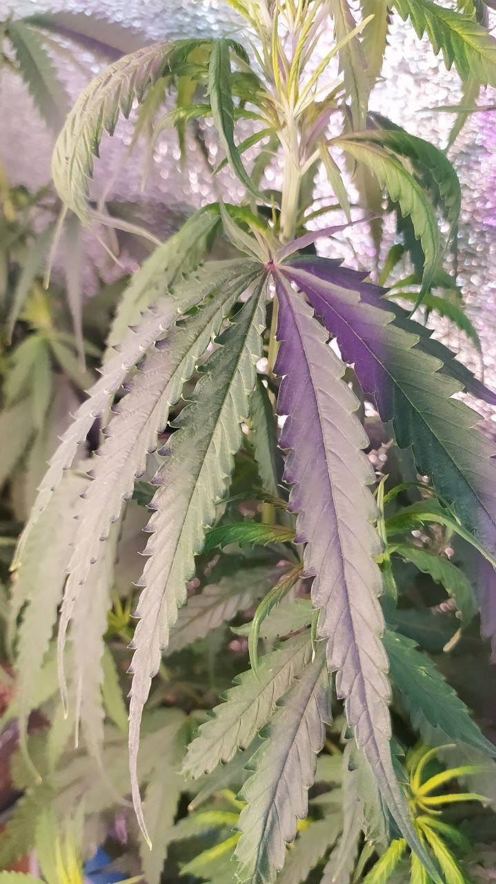 photo_2022-06-30_08-42-37 (2).jpg