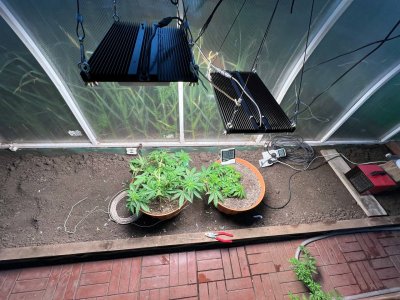 675F065B-844A-4A69-BA9D-8FD7C73D582E.jpeg 675F065B-844A-4A69-BA9D-8FD7C73D582E.jpeg