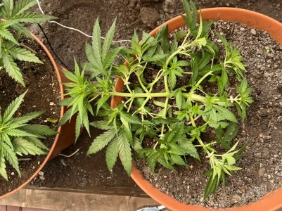 2C2E8F43-EA19-463B-8BEC-DF93A0E7E253.jpeg 2C2E8F43-EA19-463B-8BEC-DF93A0E7E253.jpeg