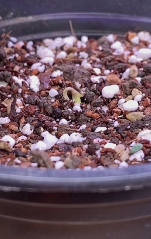 848F9928-7D6C-403A-A493-CAA6BFCD604C.jpeg 848F9928-7D6C-403A-A493-CAA6BFCD604C.jpeg