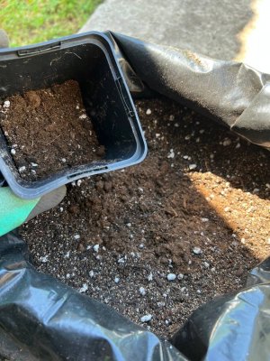 7432A233-ED28-44AC-9DC5-7097B2B7933C.jpeg 7432A233-ED28-44AC-9DC5-7097B2B7933C.jpeg