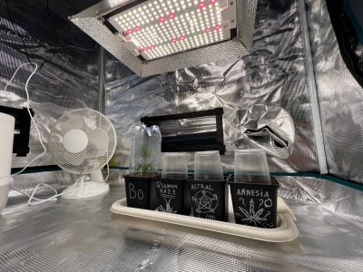 98671D45-7BD7-4CF1-8524-87F67FA1AD86.jpeg 98671D45-7BD7-4CF1-8524-87F67FA1AD86.jpeg