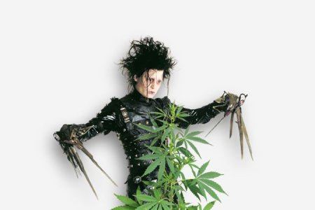 топпинг конопли