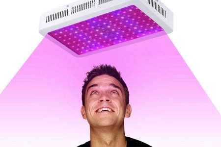 освещение для конопли