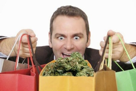 Урожайность разных видов конопли Урожайность разных видов конопли