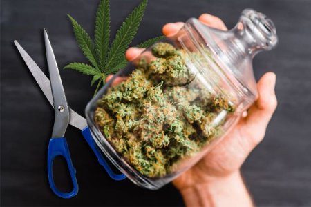 дефолиация марихуаны