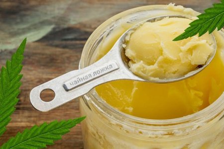 дозировка канна-масла дозировка канна-масла