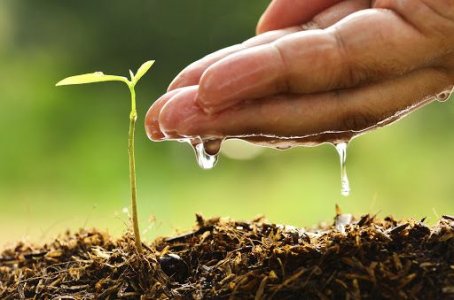 фото4.jpg фото4.jpg