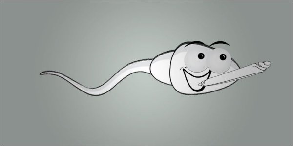 фото2.jpg фото2.jpg