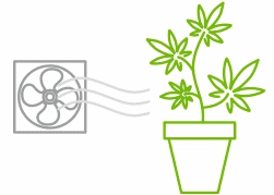 1612703423945.png 1612703423945.png