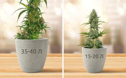 1613044642050.png 1613044642050.png