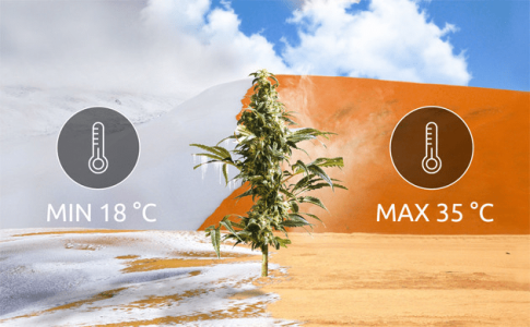 1613044781422.png 1613044781422.png