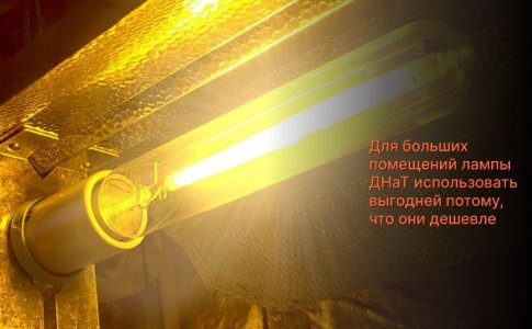 Освещение для выращивания конопли Освещение для выращивания конопли
