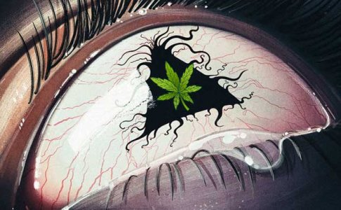 Красные глаза от марихуаны Красные глаза от марихуаны