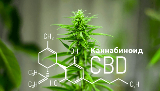 1615207104901.png 1615207104901.png