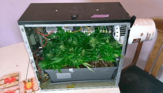 1615391148976.png 1615391148976.png