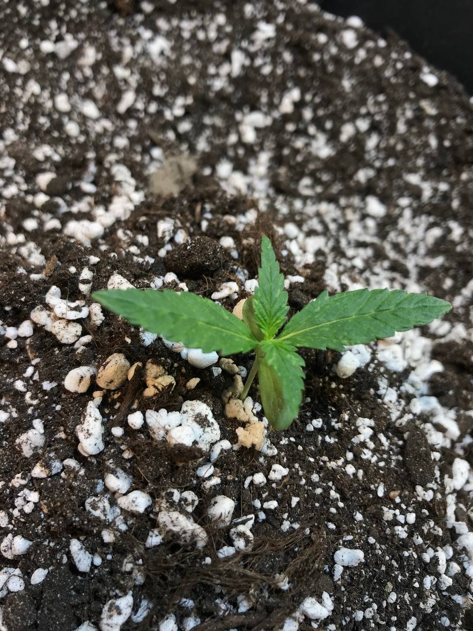 photo_2022-07-11_13-20-35.jpg photo_2022-07-11_13-20-35.jpg