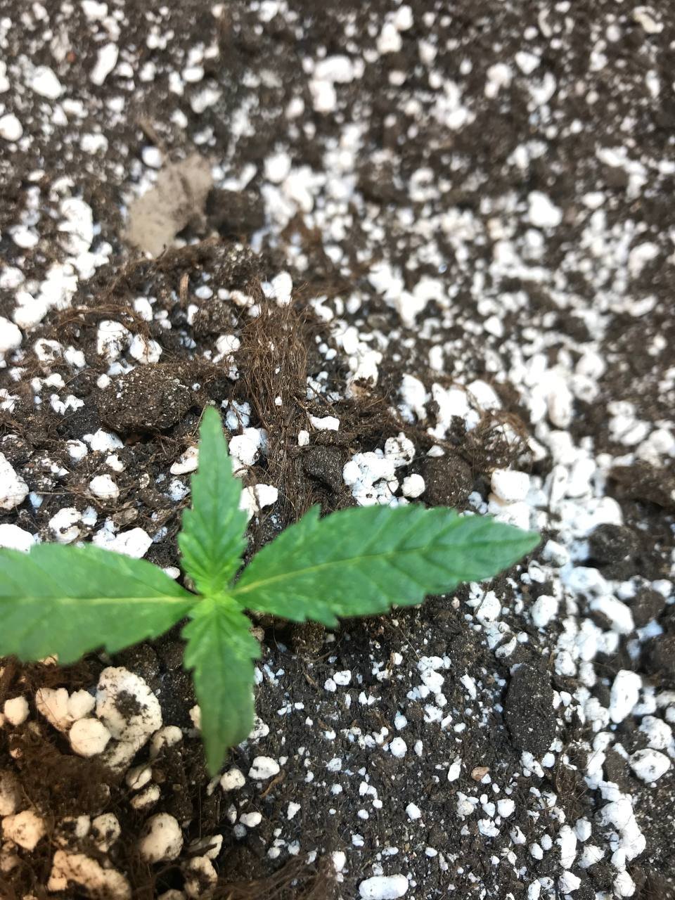 photo_2022-07-11_13-20-36.jpg photo_2022-07-11_13-20-36.jpg