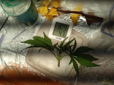 B0058219-665B-44B8-8258-558AD7C3321E.jpeg B0058219-665B-44B8-8258-558AD7C3321E.jpeg