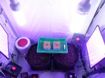 DSC00293.jpg DSC00293.jpg