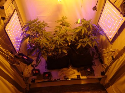 DSC00294.jpg DSC00294.jpg