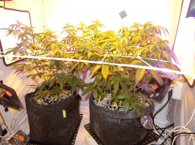 DSC00321.jpg DSC00321.jpg