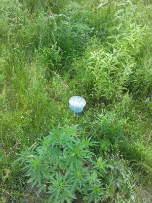 20160502_232457.jpg 20160502_232457.jpg