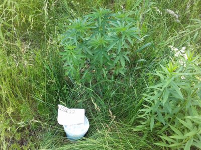 20160502_232543.jpg 20160502_232543.jpg