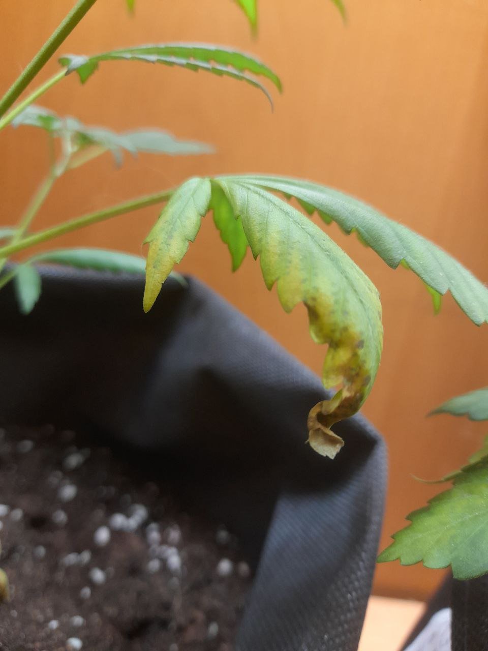 photo_2022-07-17_12-53-34 (2).jpg