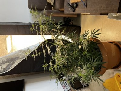 D6111005-C89F-4365-83A8-F32F0BC3FDFF.jpeg D6111005-C89F-4365-83A8-F32F0BC3FDFF.jpeg