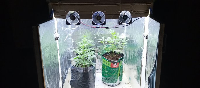 IMG_20220725_213516_644.jpg IMG_20220725_213516_644.jpg