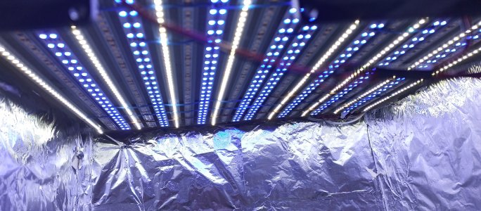 IMG_20220725_213546_153.jpg IMG_20220725_213546_153.jpg