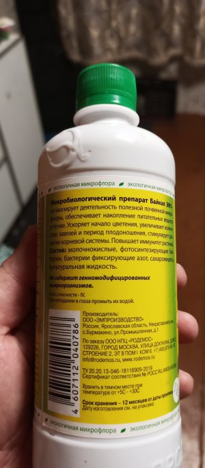 IMG_20220725_213739_138.jpg IMG_20220725_213739_138.jpg