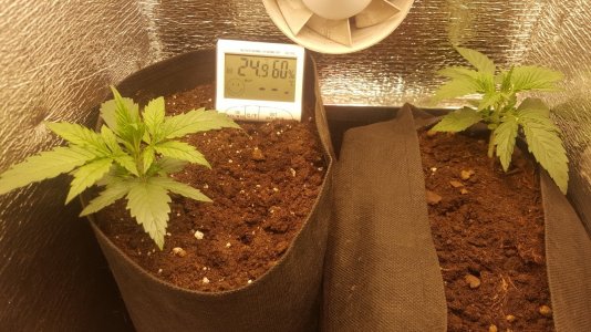 Общий вид 28,07.jpg