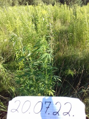 20160528_054712.jpg 20160528_054712.jpg