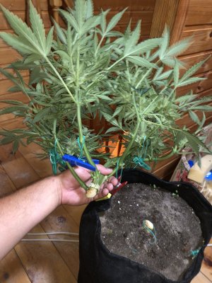 IMG_5591.jpg IMG_5591.jpg