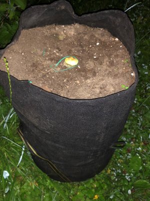 IMG_5597.jpg IMG_5597.jpg