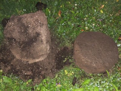 IMG_5598.jpg IMG_5598.jpg