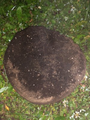 IMG_5599.jpg IMG_5599.jpg