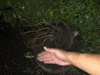 IMG_5608.jpg IMG_5608.jpg