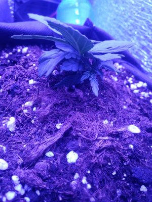 photo_2022-08-02_08-58-16 (2).jpg