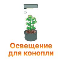 37-Osveshchenie dlya konopli-100.jpg 37-Osveshchenie dlya konopli-100.jpg