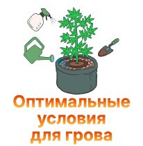 40-Optimalnye usloviya dlya grova.jpg 40-Optimalnye usloviya dlya grova.jpg