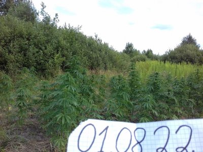 20160609_021158.jpg 20160609_021158.jpg