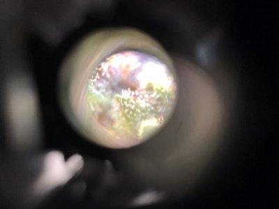 C87188BF-4343-4B47-9F51-59824AA46A35.jpeg C87188BF-4343-4B47-9F51-59824AA46A35.jpeg